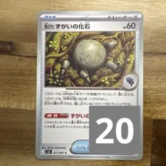 古びたずがいの化石のサムネイル