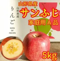 リンゴ　5kg④　山形県産サンふじ　家庭用　産地直送　ギフト　子供のおやつにも
