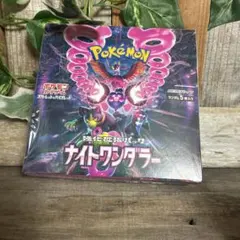 ナイトワンダラー1box