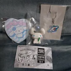 シナモン3点セット