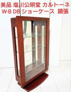 塩川光明堂 コレクションケース カルトーネ ダークブラウン ガラス