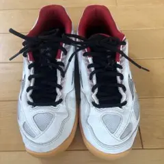 MIZUNO バドミントンシューズ　25.0センチのサムネイル