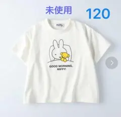未開封 未使用 miffy スリーピングプリントT コットン ミッフィー 綿のサムネイル