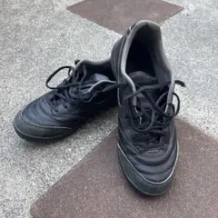 Mizuno Morelia Sala Pro TF 25.0cm モレリア