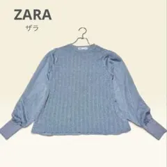 ZARA ザラ ラメニット バルーンスリーブ　長袖　シルバー S