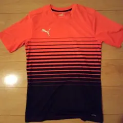 Item thumbnail for item 20223efc-4a2a-4467-bb7b-b9bf8cc20be6