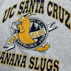 【最終値下げ】トニーホーク vtg tシャツ santa cruz 最終値下げ】トニーホーク vtg tシャツ santa cruz - メルカリ