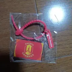 名古屋グランパス マルチチャーム