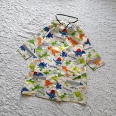 Item thumbnail for item 71e121e1-f07e-4abe-bbb7-41ed1f91edaa