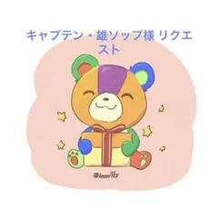 キャプテン・雄ソップ様 リクエスト 19点 まとめ商品