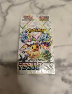 ポケモンカード テラスタルフェスEXBOX 《新品未開封》シュリンク付き