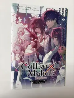 2026年最新】collar malice 小冊子の人気アイテム - メルカリ
