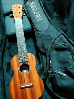 Item thumbnail for item b3f6c133-cddd-4bef-851c-55491b019a7b