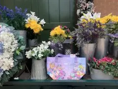 香港ディズニーランド　ショッピングバッグ Sサイズ　20周年デザイン　②