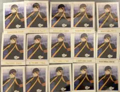 ハイキュー　影山飛雄　ぱしゃこれpremium 応援団　15枚