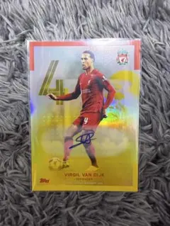 50シリ Virgil van Dijk 直筆サインカード 16/50