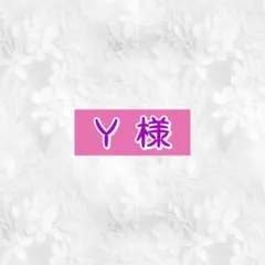 Y 様