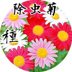 ラッキー様 リクエスト 2点 まとめ商品