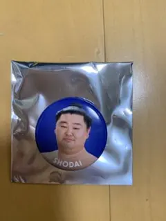 Item thumbnail for item e05365f9-a306-4f91-a2fa-2d20ac7cfb6b