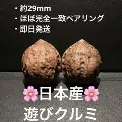 2026年最新】文玩核桃の人気アイテム - メルカリ