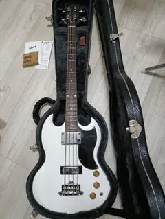 2026年最新】gibson sg ハードケースの人気アイテム - メルカリ