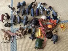 動物　フィギアまとめ売り
