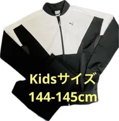 PUMA ジャージ上下セット ホワイト/ブラック