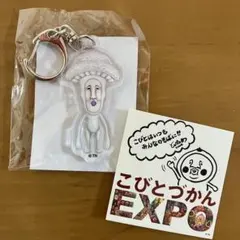 2025年最新】こびとづかん expoの人気アイテム - メルカリ