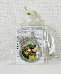 【新品・未開封】ディズニー バケーションパッケージ限定 バッグハンガー 非売品のサムネイル