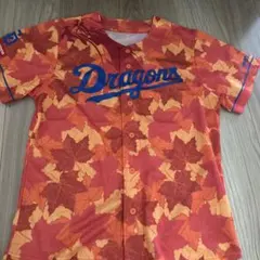 Item thumbnail for item 755bd125-ea48-4157-8fce-4ae98a0f9f66