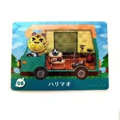 【まとめ割】とびだせどうぶつの森 amiiboカード　ハリマオ　08