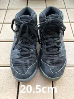 ASICS バスケットシューズ ダンクショット　20.5cm バッシュ　バスケ