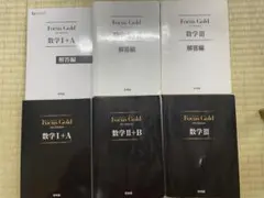 Focus Gold 数学 セット