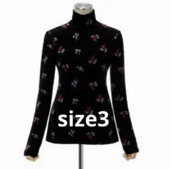 Item thumbnail for item 326a34fe-16e2-4c38-8078-3d07de332250