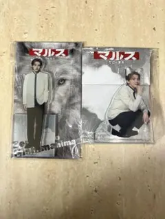 マルス-ゼロの革命- アクリルスタンド　道枝駿佑