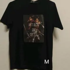 進撃の巨人(リヴァイ兵長&エレン)M サイズ