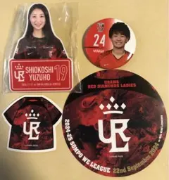 atomdaisuki様 リクエスト 2点 まとめ商品