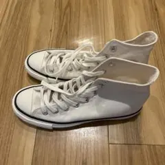 Item thumbnail for item 558246fe-0c15-481d-a193-1294b0ad96a7