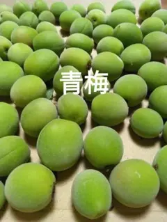 青梅のサムネイル