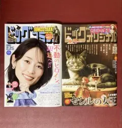 Item thumbnail for item 2bf98882-219a-4f90-848e-8b82e3bf6d83