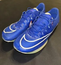 NIKE マックスフライ　ブルー/27.5