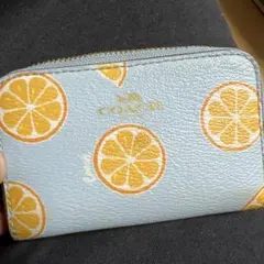 Item thumbnail for item 3599235e-6a1a-4863-9af4-e3c40b82f2d2