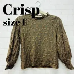Crisp 総レースブラウス サイズF 茶のサムネイル
