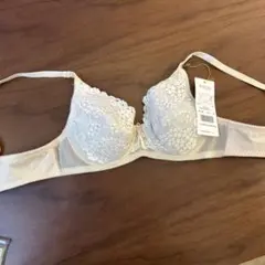 Item thumbnail for item 43250c21-f055-46b5-9b09-7b9a2159f58c