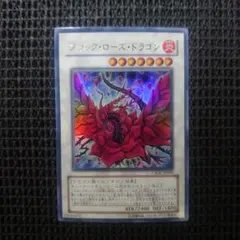2026年最新】ブラックローズドラゴンの人気アイテム - メルカリ