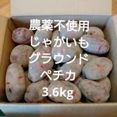 2026年最新】じゃがいも デストロイヤーの人気アイテム - メルカリ