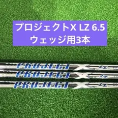 2026年最新】project x lzの人気アイテム - メルカリ
