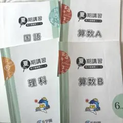 2026年最新】浜学園6年生の人気アイテム - メルカリ