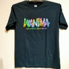 新品 未使用品 WANIMA ワニマ Tシャツ カミナッチャ Ｌ ブラック 黒