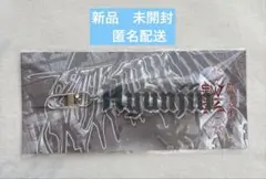 StrayKids VR アクリルネームキーホルダー　ヒョンジン